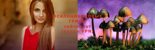 скорость Нея