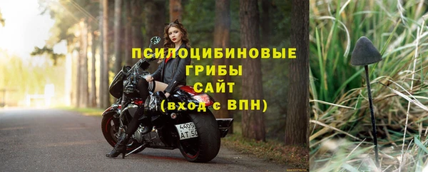 эйфоретик Нефтекумск