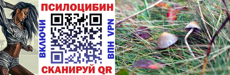 Псилоцибиновые грибы мицелий  Котельниково 